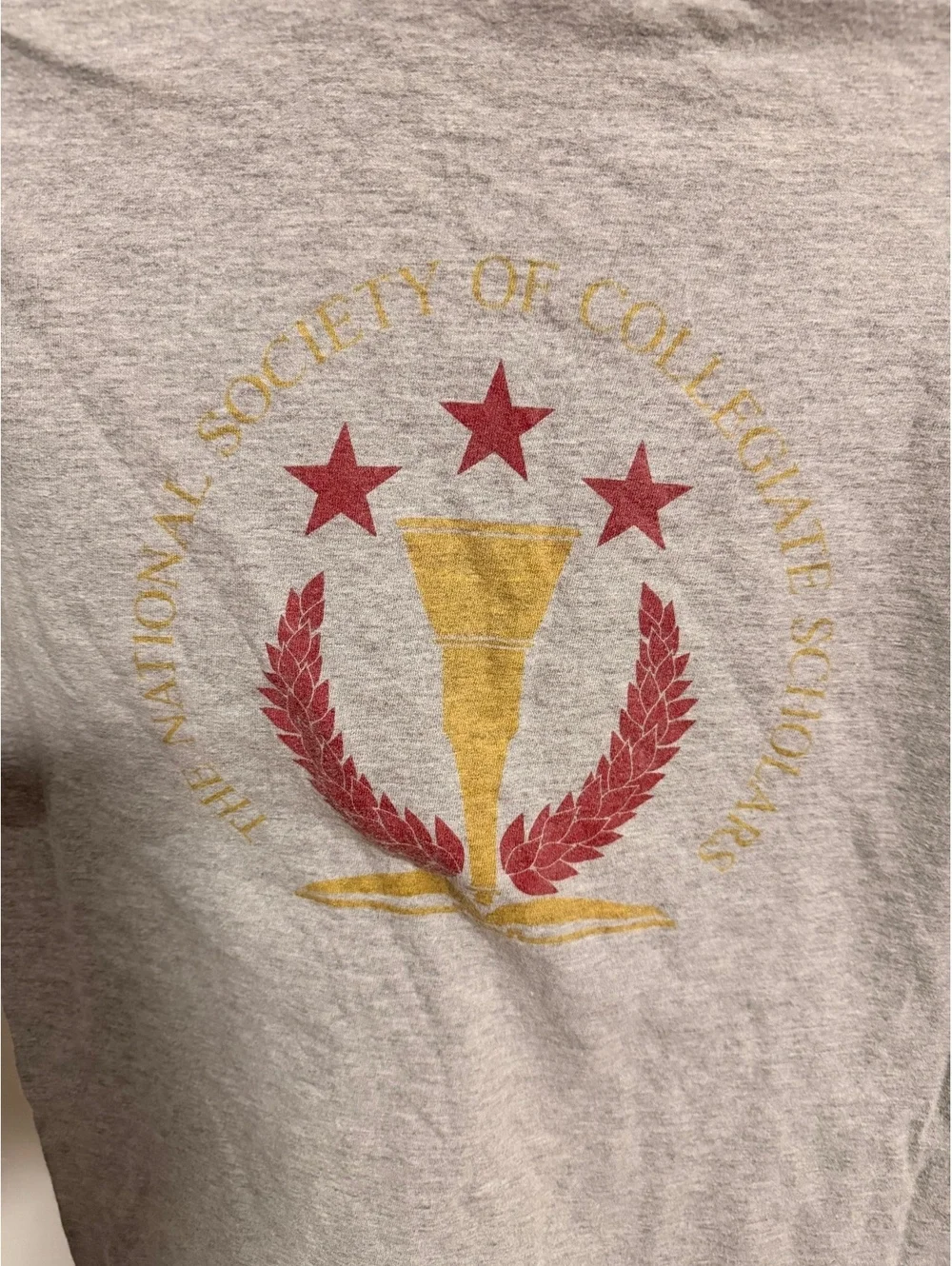 Beefy-T gray FSU graphic T-shirt